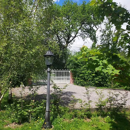 Apple Blossom New Ross