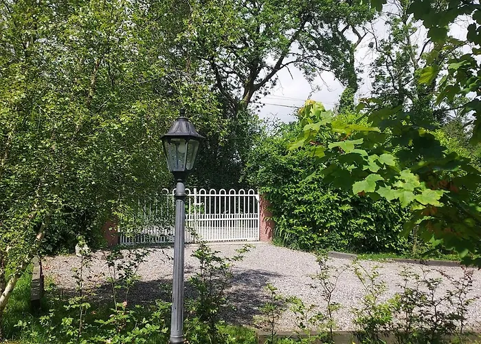 Apple Blossom 新罗斯